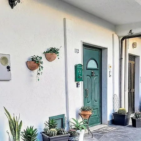 Flat With Panoramic Terrace And Private Pool Mt5x3 Apartment *