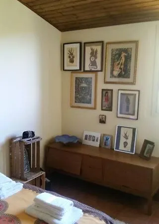 Flat With Panoramic Terrace And Private Pool Mt5x3 *