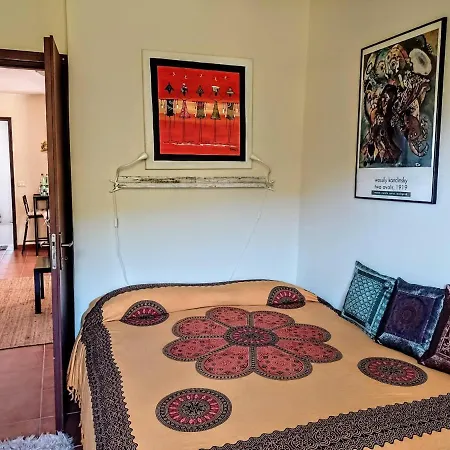 아파트 Flat With Panoramic Terrace And Private Pool Mt5x3 *